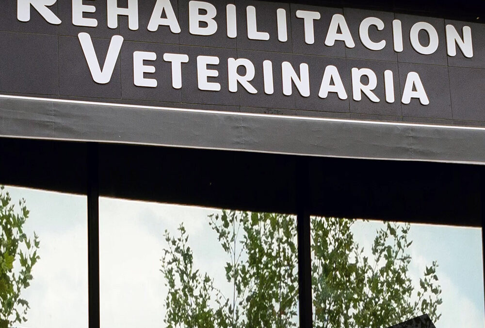 RESET REHABILITACIÓN