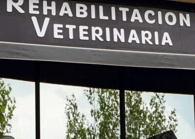 RESET REHABILITACIÓN